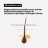L’Oréal Professionnel Serie Expert Scalp Advanced Anti‑Schuppen Dermo Clarifier Shampoo – Bild 6