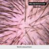 L’Oréal Professionnel Serie Expert Scalp Advanced Anti‑Schuppen Dermo Clarifier Shampoo – Bild 7